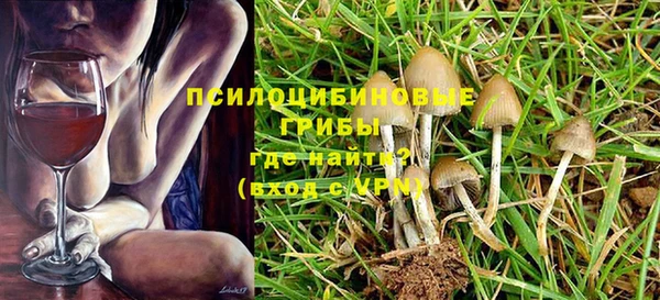 СК Алексин