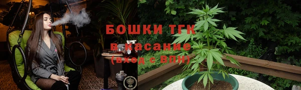 ПСИЛОЦИБИНОВЫЕ ГРИБЫ Алзамай